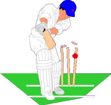 cricket.gif (10918 bytes)